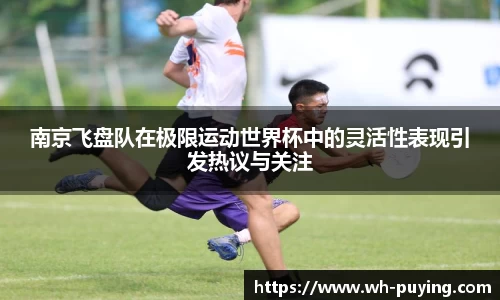 JJB竞技宝官网