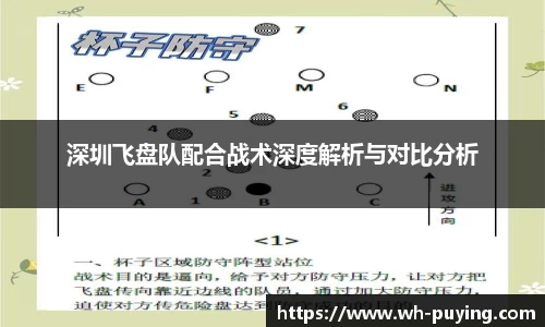 深圳飞盘队配合战术深度解析与对比分析