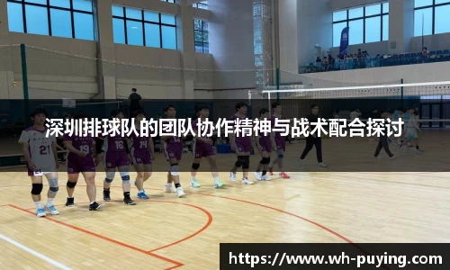 深圳排球队的团队协作精神与战术配合探讨