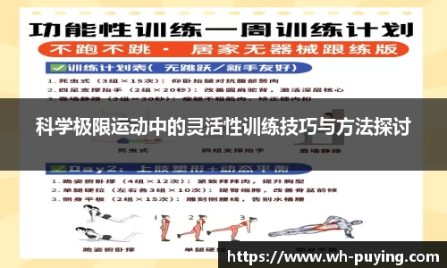 JJB竞技宝官网